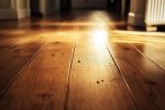 Puce de parquet comment reconnaître, éliminer et prévenir une infestation dans votre habitat
